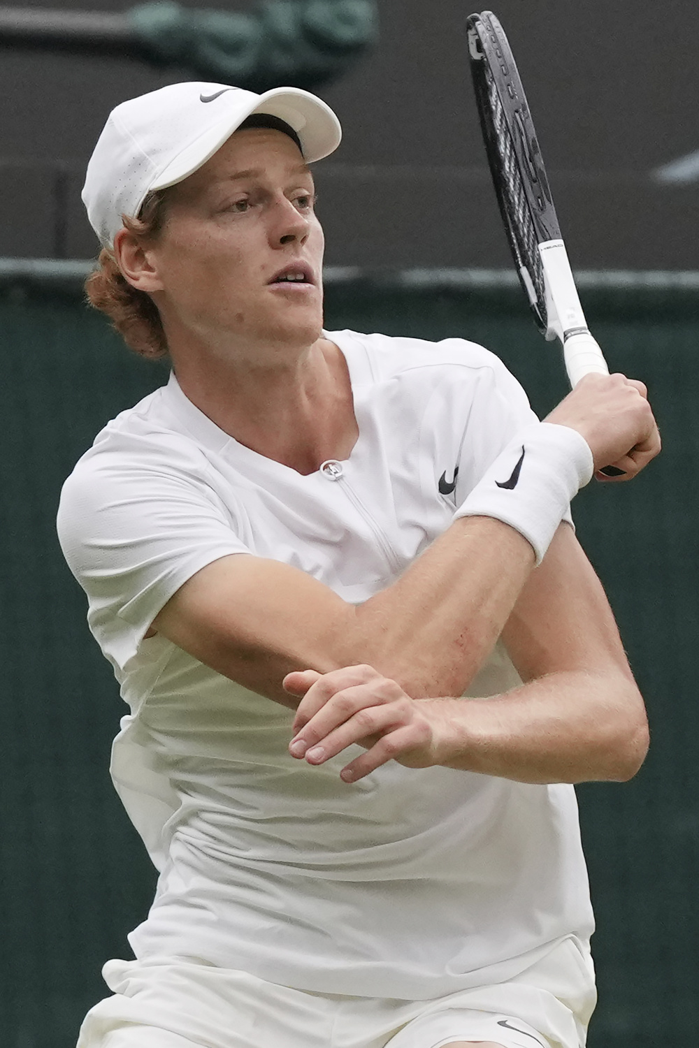 他们展现了 他们展现了