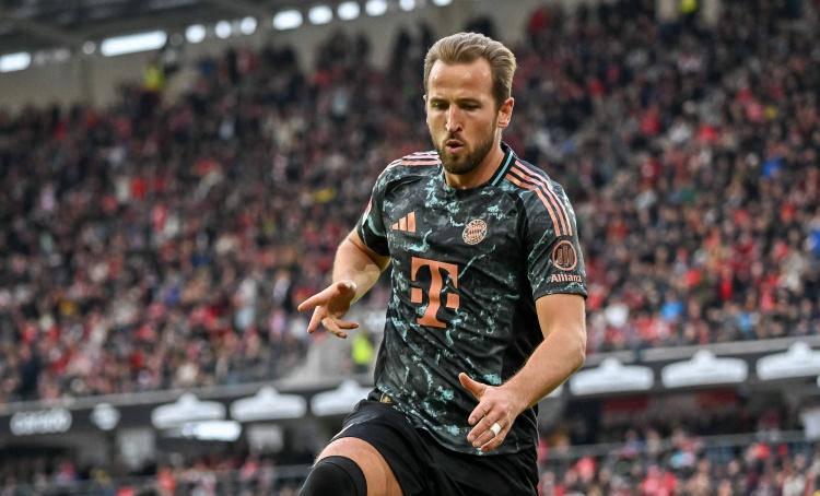 将迈入职业 将迈入职业