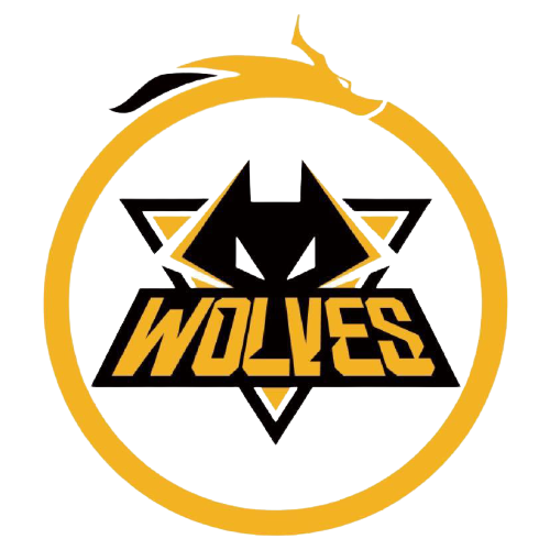 展的重要活 展的重要活